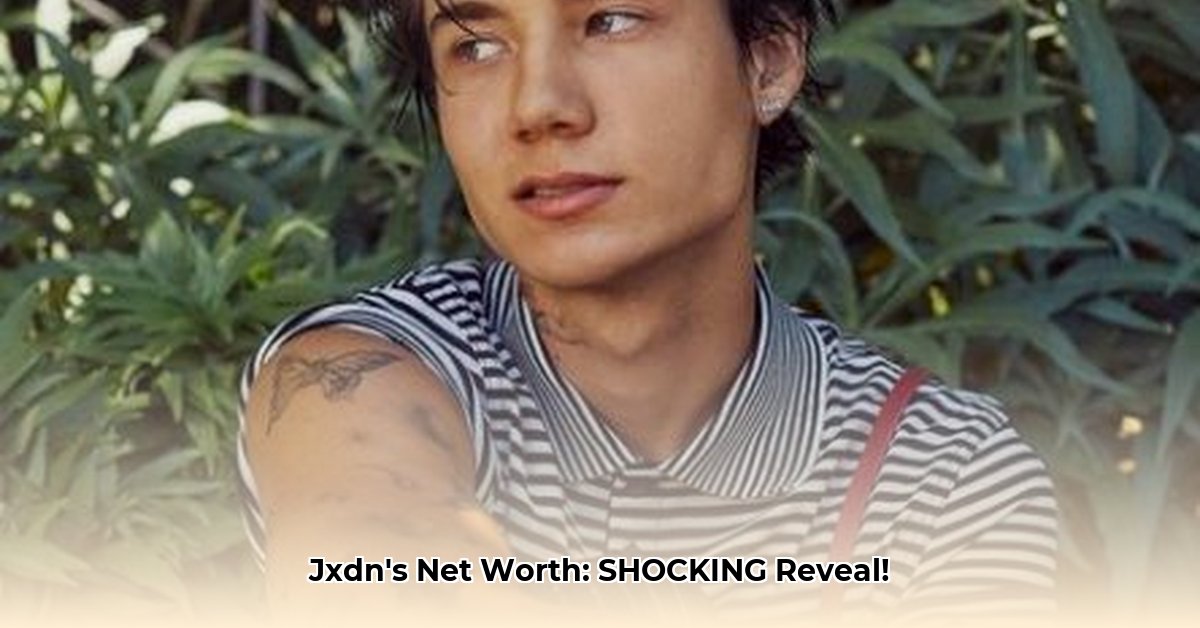jxdn-net-worth